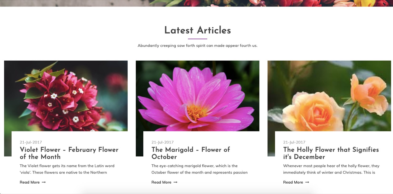 Articles section